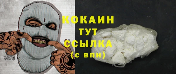 мдпв Михайлов