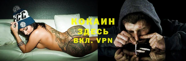 мдпв Михайлов