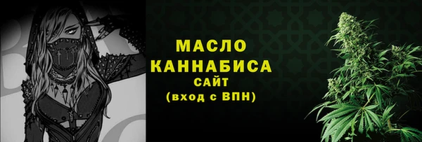мдпв Михайлов