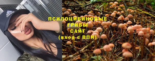 мдма Михайловск