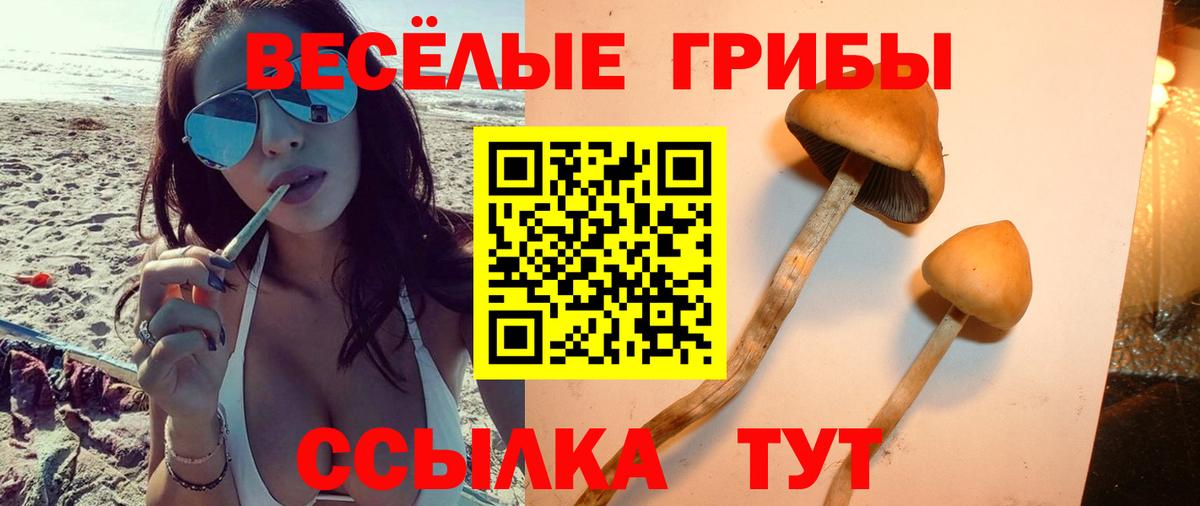 Псилоцибиновые грибы ЛСД  Псилоцибиновые грибы ЛСД  Туапсе  цены   Вход с VPN 